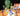 Grand Illusions Christmas Pack 2026/2027