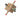 Intermediate Axis Spinning Top